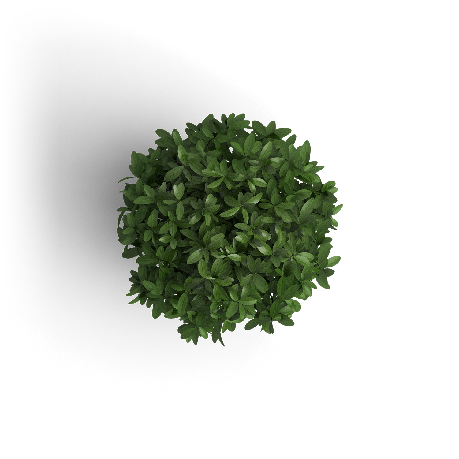 object_plant_1
